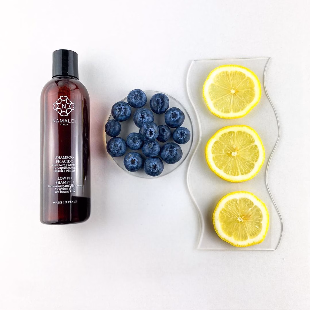 Shampoo Ph Acido Ribes Nero e Mirtillo Namalei