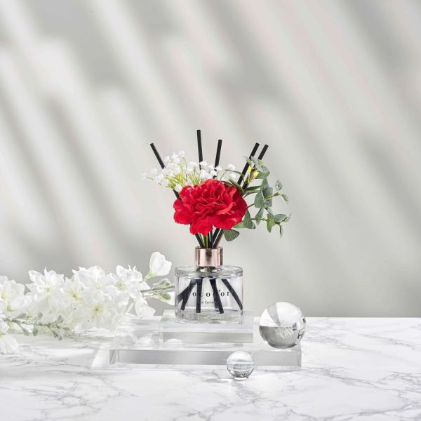Flower Collection Diffusore a bastoncini Carnation muschio bianco Cocodor