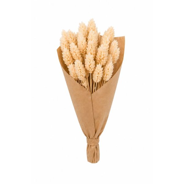 Fiori Secchi mazzo Phalaris Wildflowers by Florietta