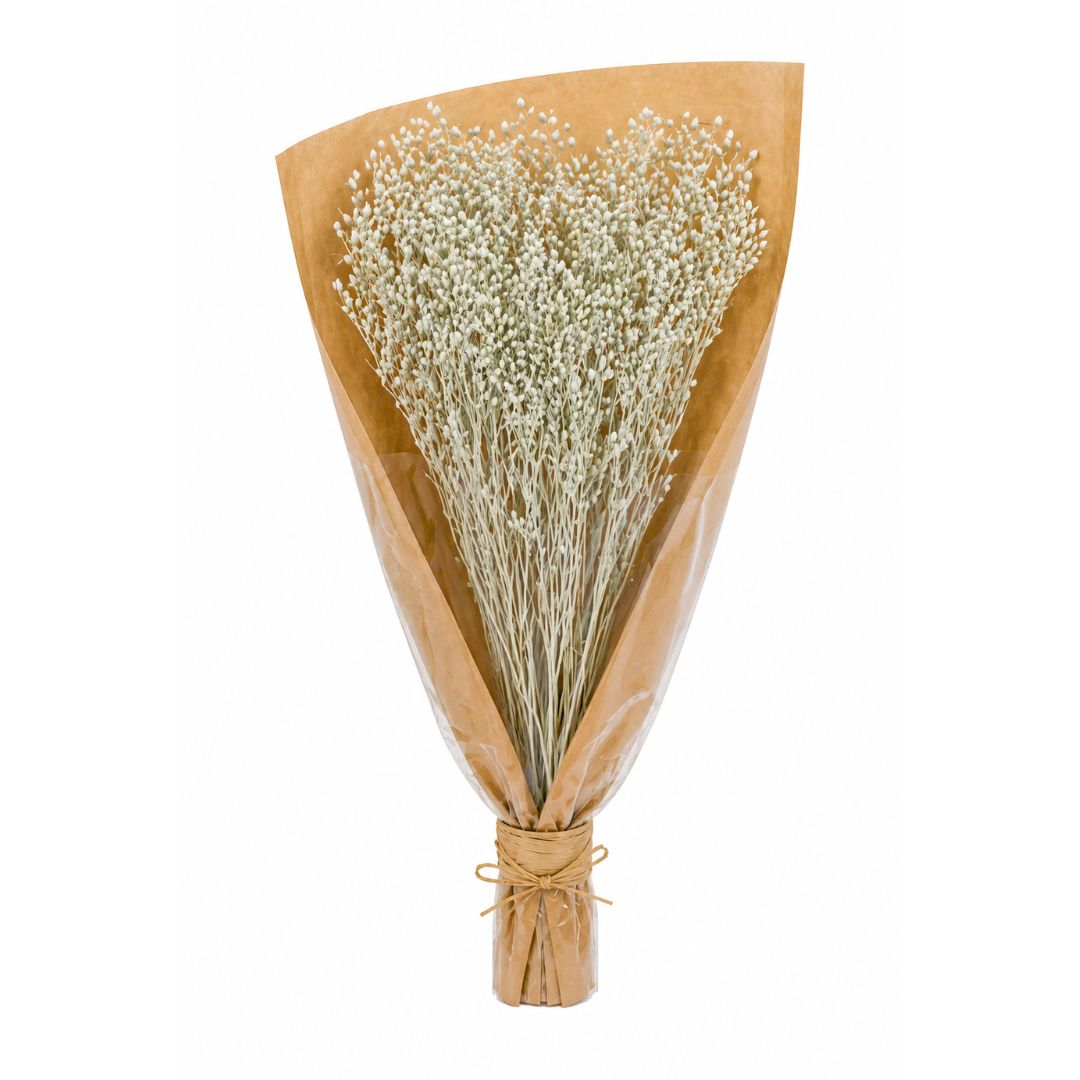 Fiori Secchi mazzo Broom bloom Wildflowers by Florietta